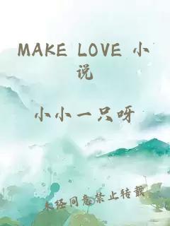 MAKE LOVE 小说